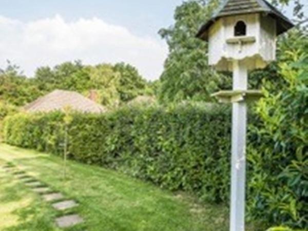 סבנאוקס Knole B&B מראה חיצוני תמונה